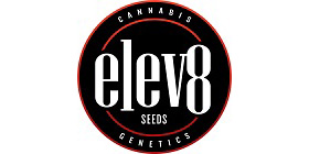 elev8-seeds-elite-cannabis-genetics